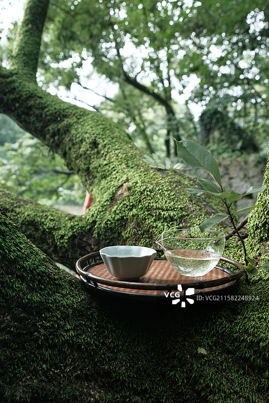 禅意茶生活图片素材