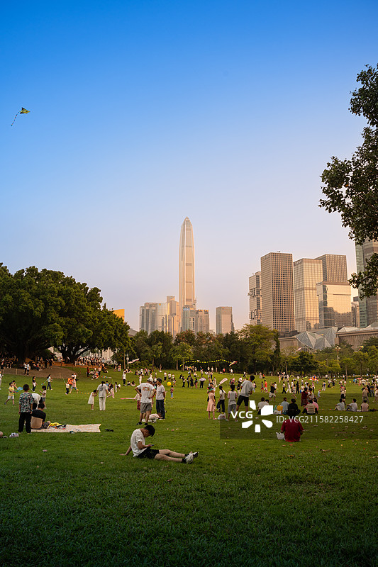 莲花山公园城市市区建筑风光图片素材