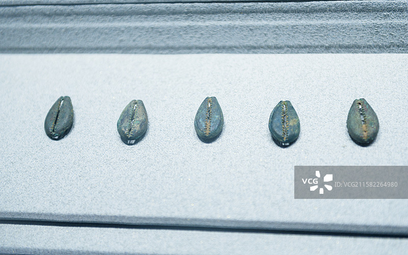 铜贝 商朝 山西省忻州市保德县林遮峪遗址出土 山西省博物馆“夏商踪迹”展览图片素材