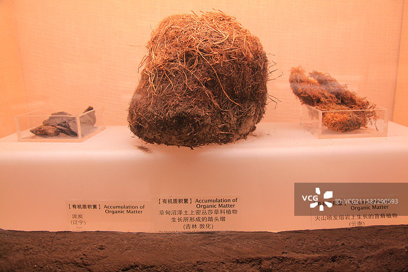 中国农业博物馆/全国农业展览馆图片素材