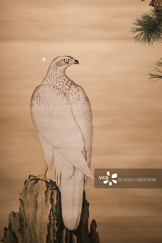 嵩献英芝图轴清代郎世宁万物和生画展故宫博物院藏动物题材绘画特展图片素材