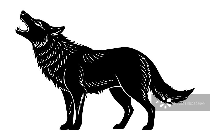 嚎叫的狼艺术图片素材