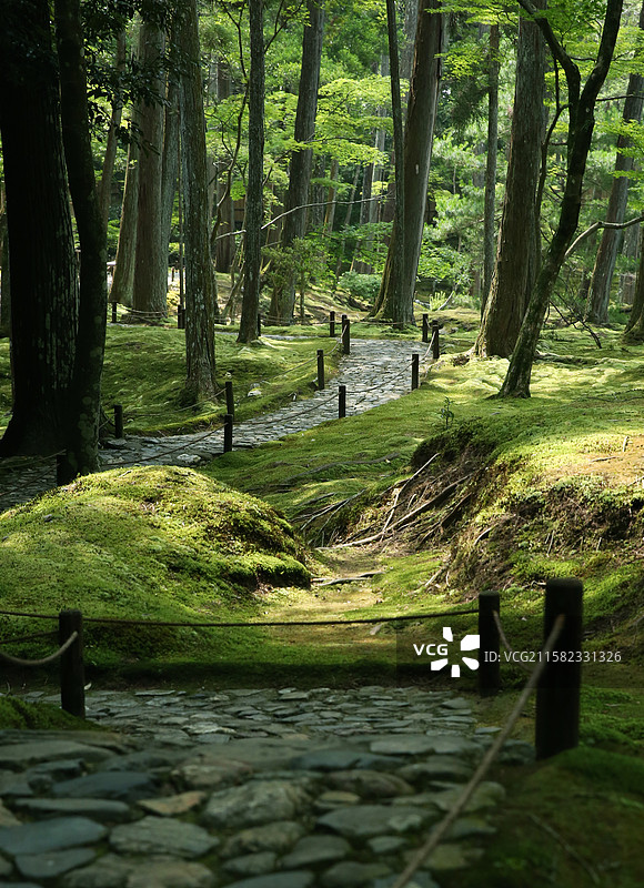 京都西方寺苔寺苔藓庭院图片素材