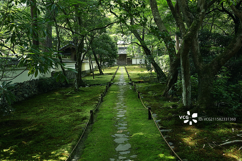 京都西方寺苔寺苔藓庭院图片素材