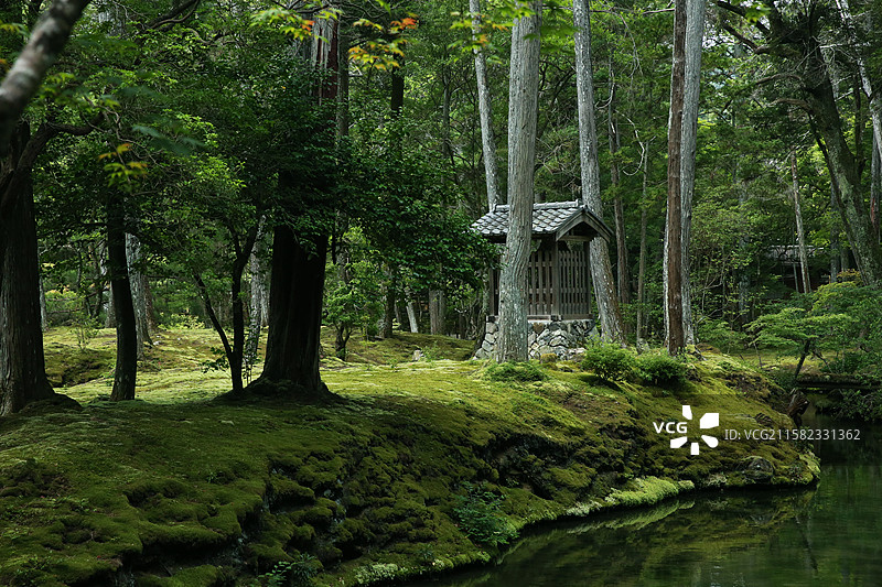 京都西方寺苔寺苔藓庭院图片素材