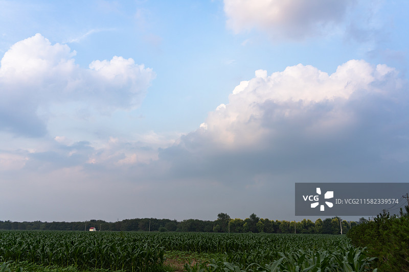 蓝天白云下广阔的农田风光图片素材