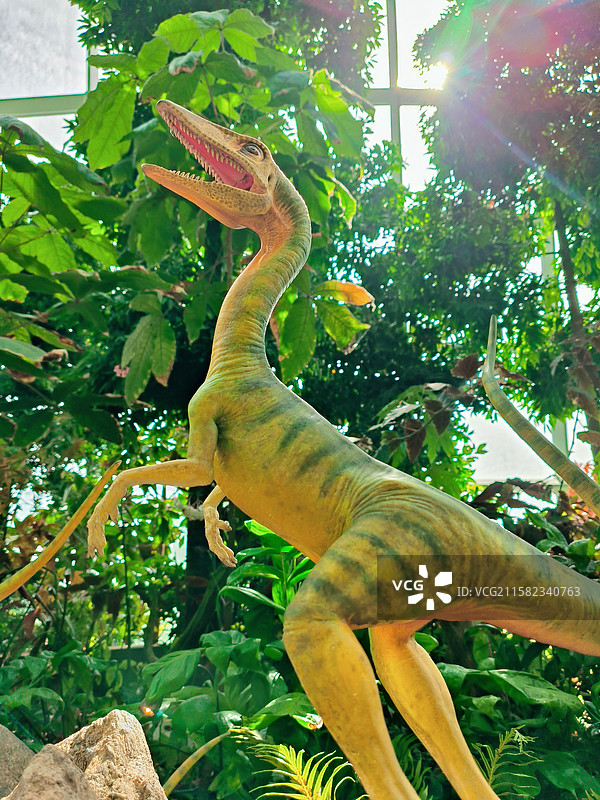 侏罗纪公园恐龙出没热带雨林图片素材