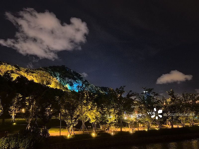 狮子山仲夏夜景图片素材