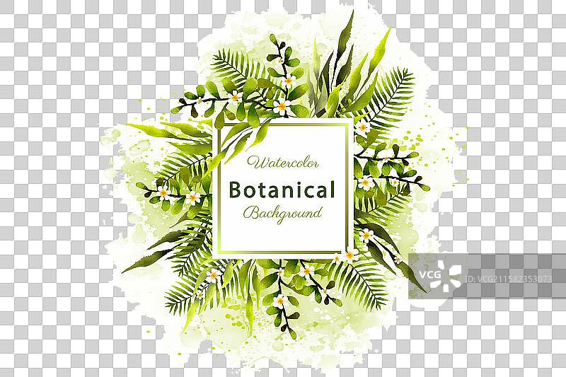 植物背景图片素材