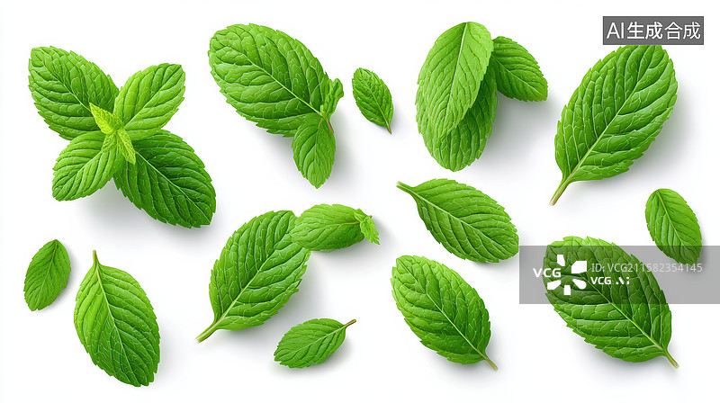 【AI数字艺术】新鲜薄荷叶的特写图片素材