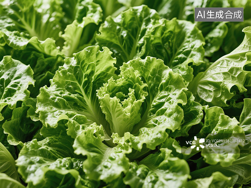 【AI数字艺术】翠叶鲜韵：生菜的微观生机图片素材