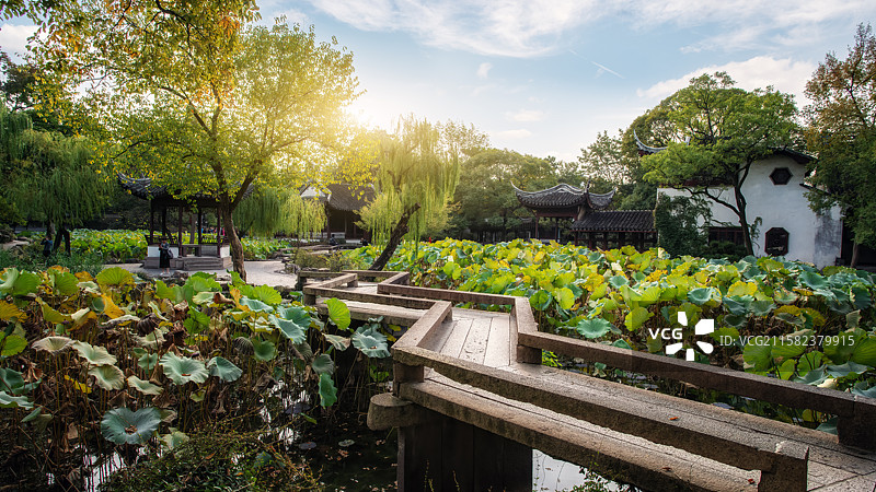 苏州园林拙政园园林景观图片素材