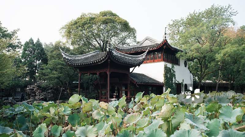 苏州园林拙政园园林景观图片素材