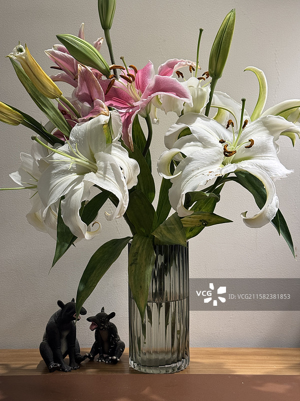 百合花图片素材