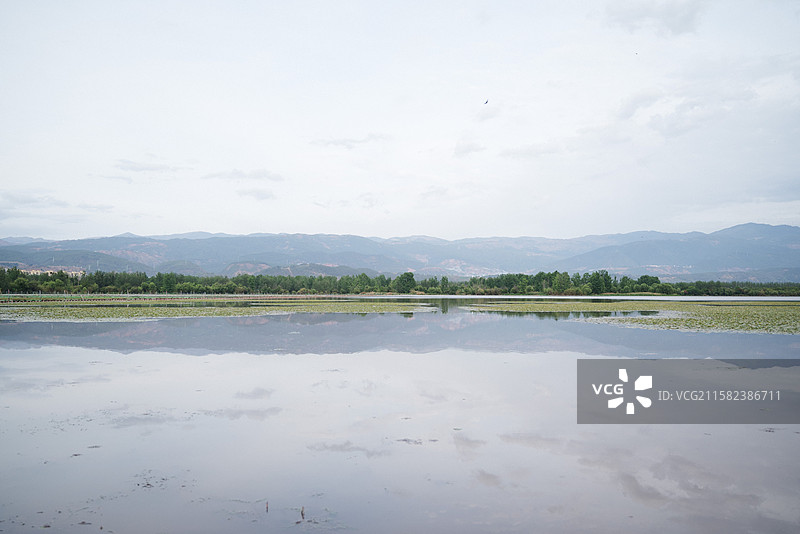 西昌邛海湿地风光图片素材