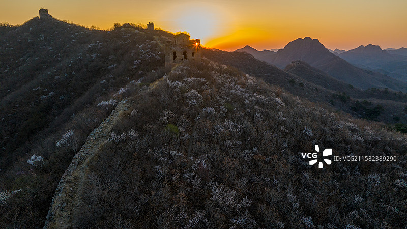 2025城子峪长城杏花风光图片素材