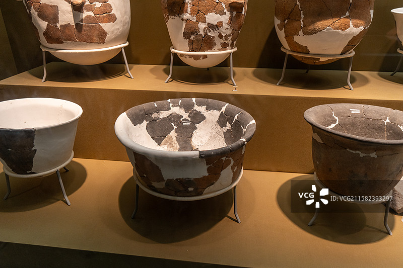 南京博物院自然馆及史前展厅的展品，包含恐龙、猛犸象等古生物化石，还有远古植物化石、旧石器、新石器时代图片素材