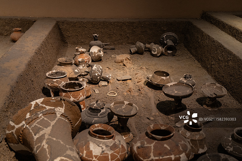 南京博物院自然馆及史前展厅的展品，包含恐龙、猛犸象等古生物化石，还有远古植物化石、旧石器、新石器时代图片素材