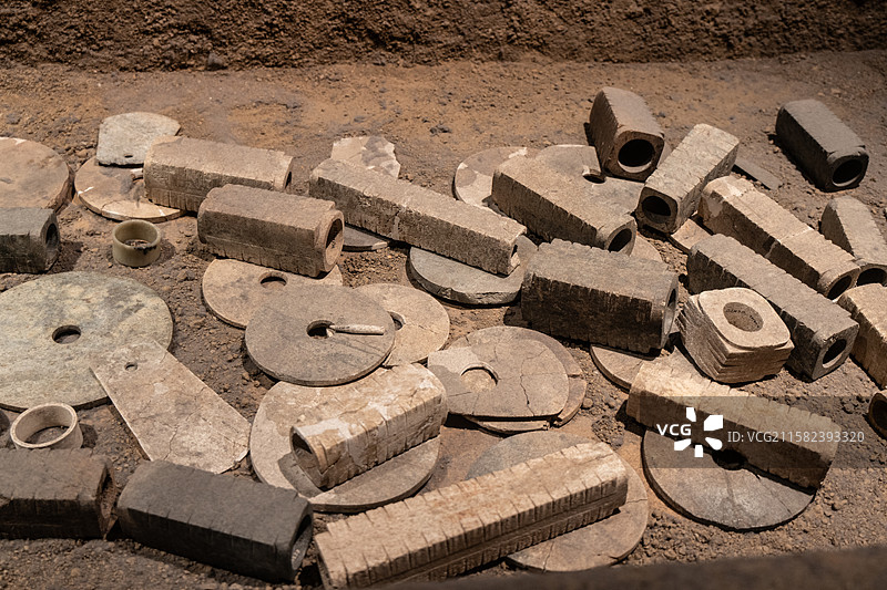 南京博物院自然馆及史前展厅的展品，包含恐龙、猛犸象等古生物化石，还有远古植物化石、旧石器、新石器时代图片素材