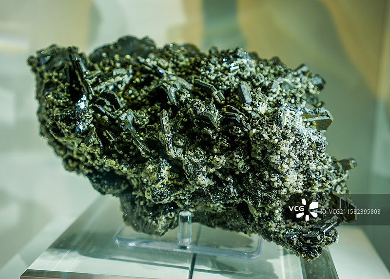 陈列在中国地质大学逸夫博物馆的图片素材