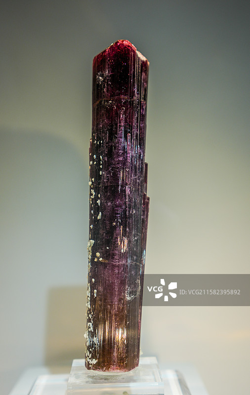 陈列在中国地质大学逸夫博物馆的红碧玺图片素材