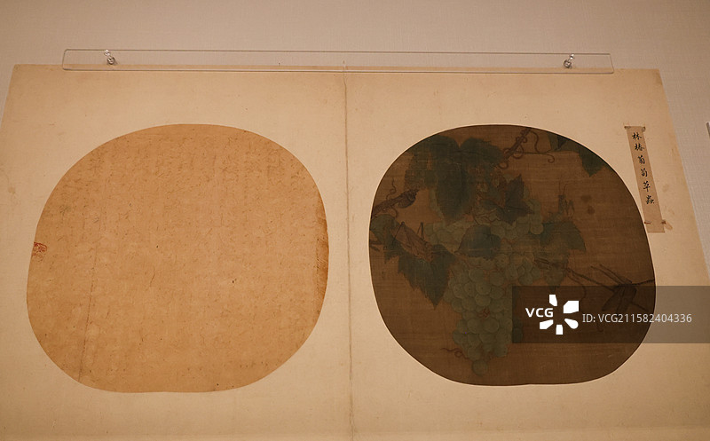 葡萄草虫图页蜻蜓螳螂蚱蜢万物和生画展故宫博物院藏动物题材绘画特展图片素材