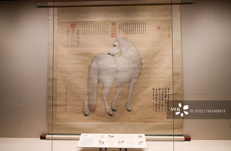 万吉骦图轴清乾隆郎世宁十骏图万物和生画展故宫博物院藏动物题材绘画特展图片素材
