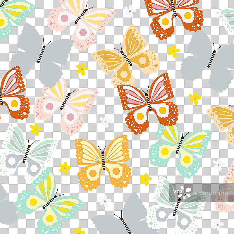 满背景的蝴蝶图片素材