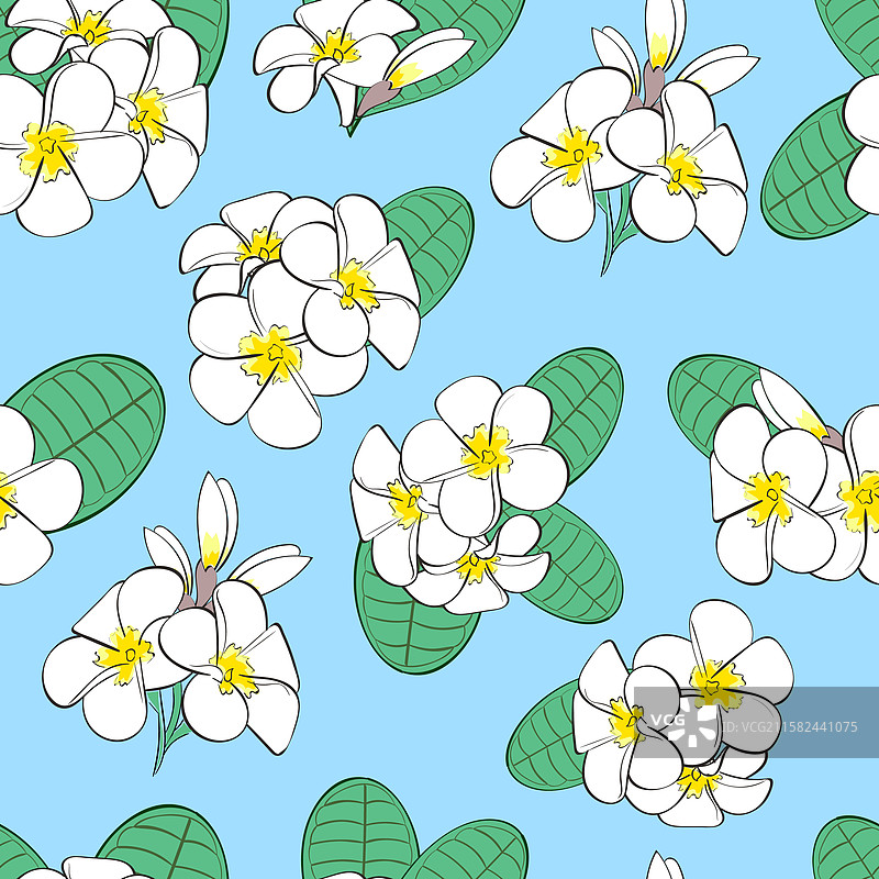 白色花朵的无缝花卉图案，夹竹桃花图片素材