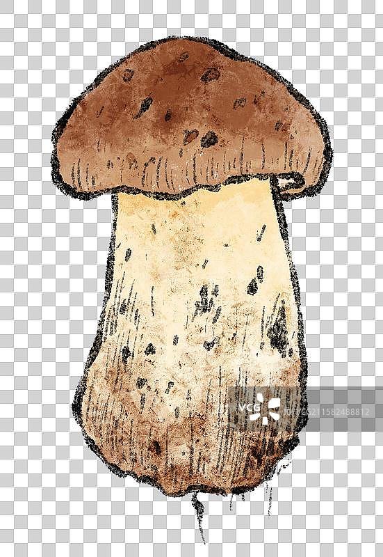 西藏美食国风插画-松茸图片素材
