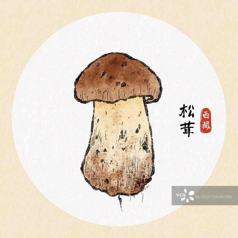 西藏美食国风插画-松茸图片素材