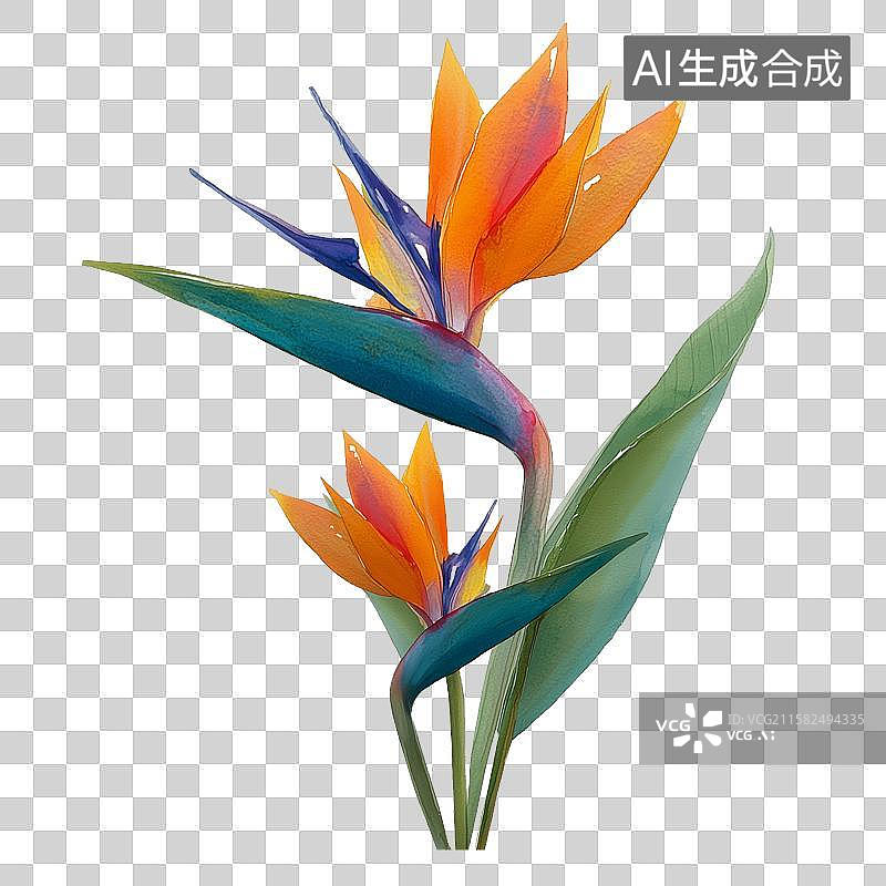 【AI数字艺术】免扣元素一枝天堂鸟花图片素材