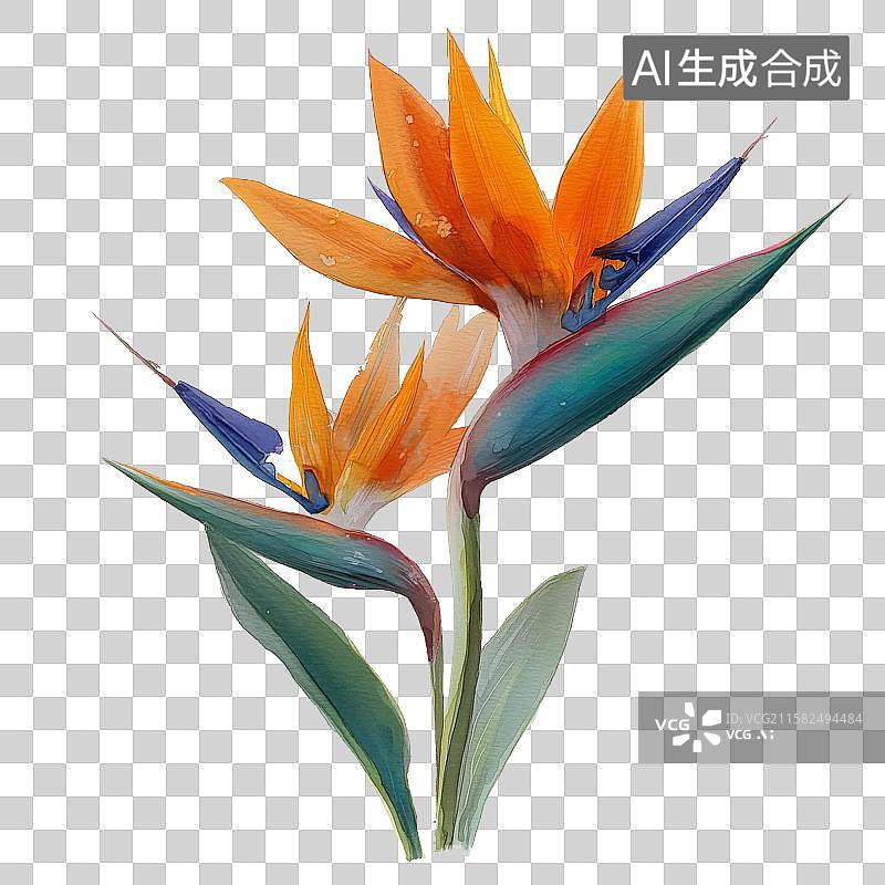 【AI数字艺术】免扣元素一枝天堂鸟花图片素材