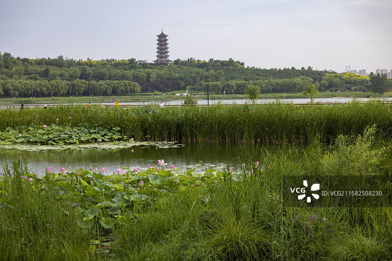 河北省石家庄市滹沱河生态旅游区摄影图片图片素材