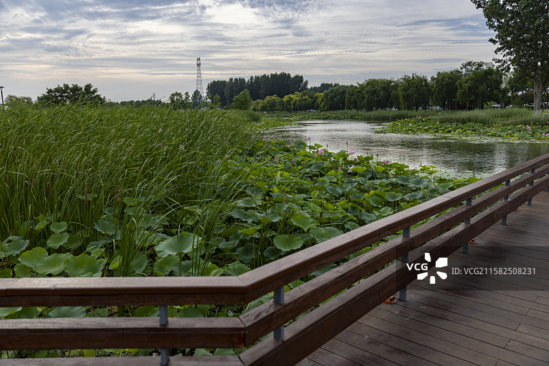 河北省石家庄市滹沱河生态旅游区摄影图片图片素材