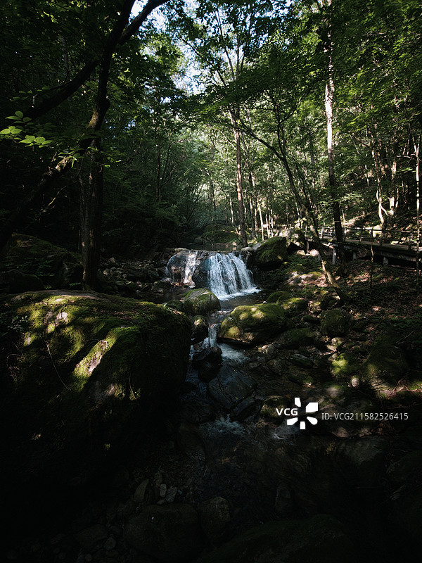 牛背梁国家森林公园图片素材