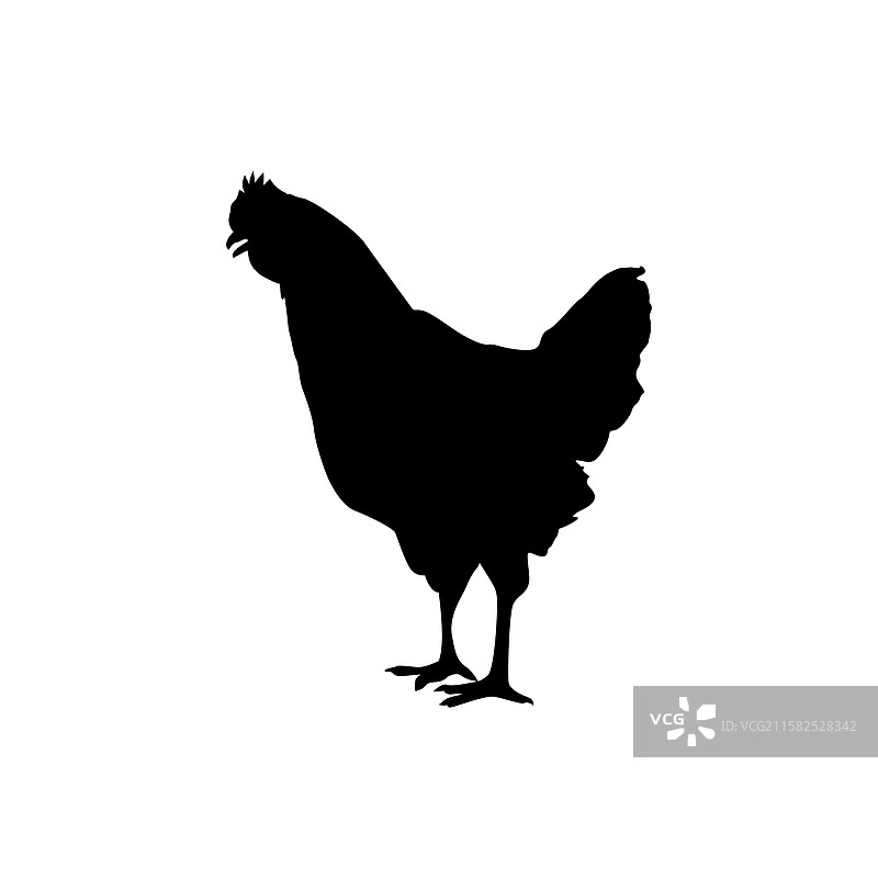 鸡的单色轮廓剪影图片素材