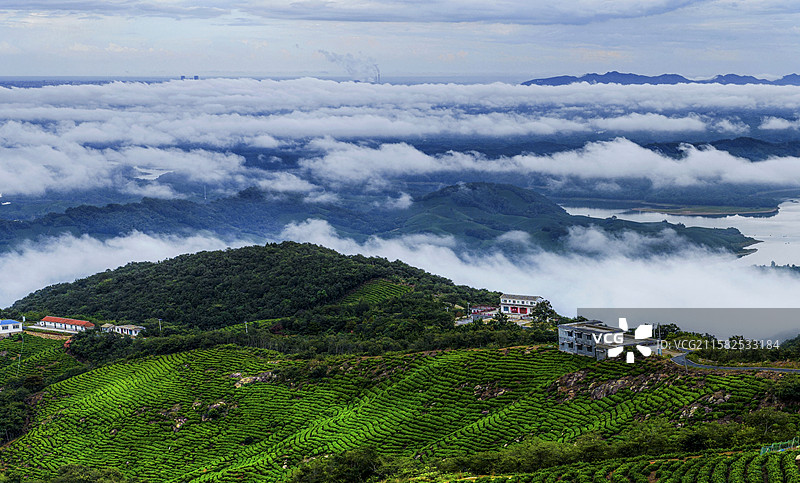 信阳茶乡图片素材