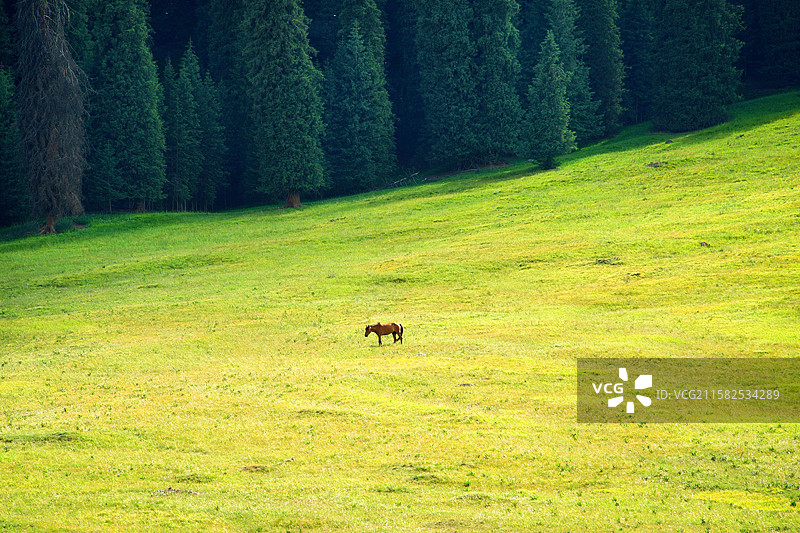 新疆伊犁独库公路图片素材