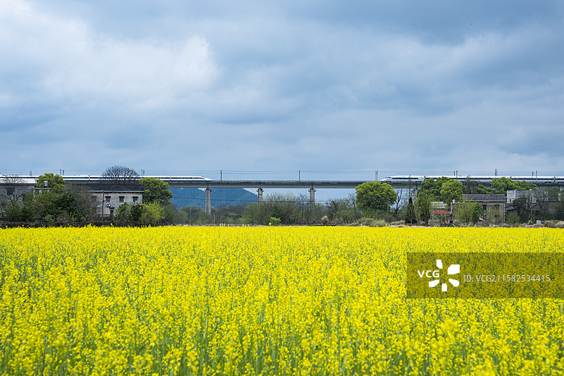 春天的列车图片素材