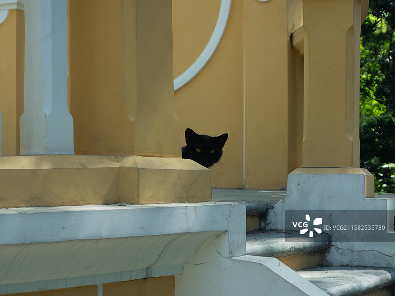 中国广东广州黄花岗七十二烈士墓，园林风景，爱国教育。图片素材