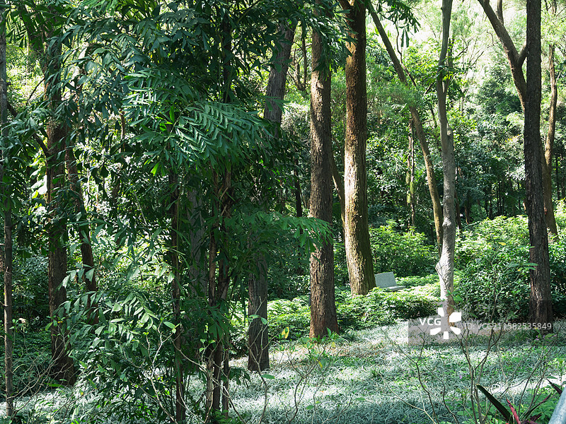 中国广东广州黄花岗七十二烈士墓，园林风景，爱国教育。图片素材