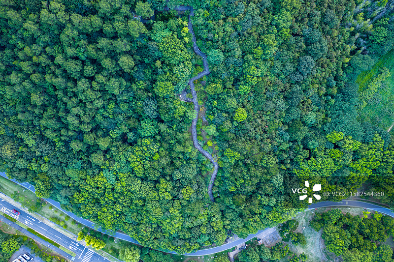 五龙山小道图片素材