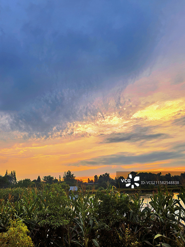 三道堰湿地公园一角图片素材