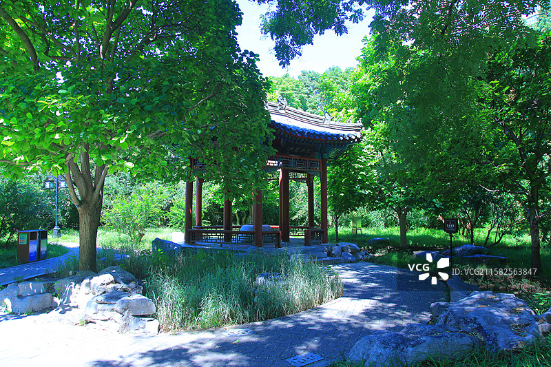 月坛公园图片素材