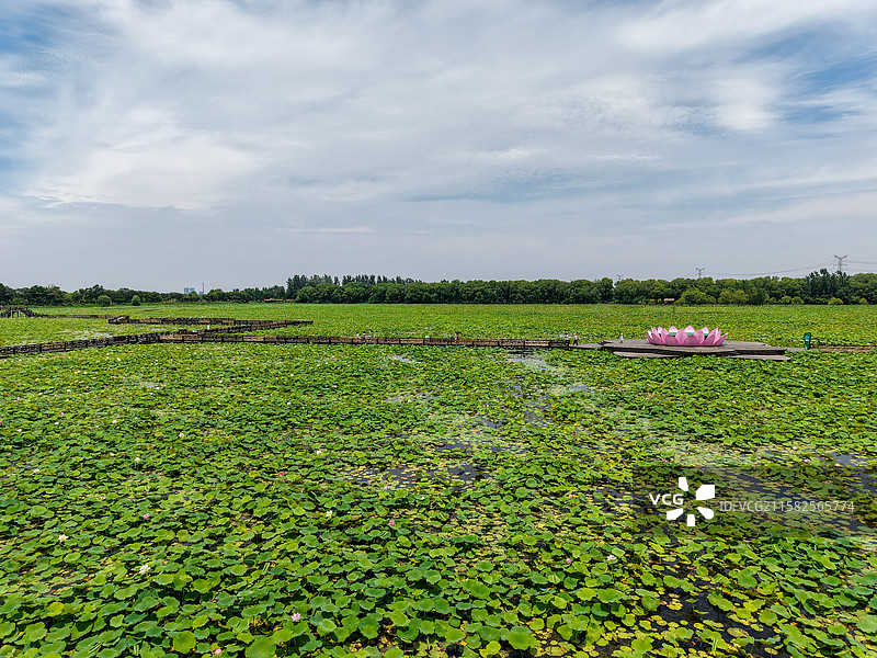 淮南焦岗湖图片素材