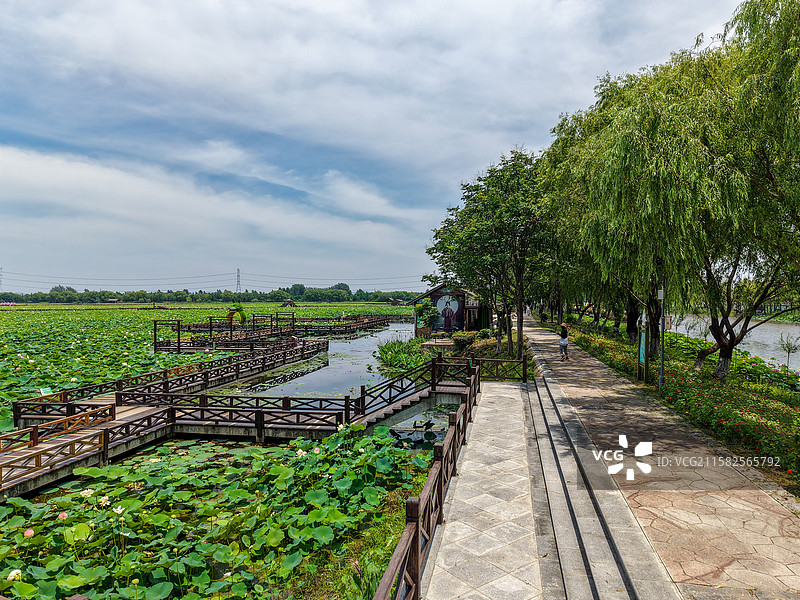 淮南焦岗湖图片素材