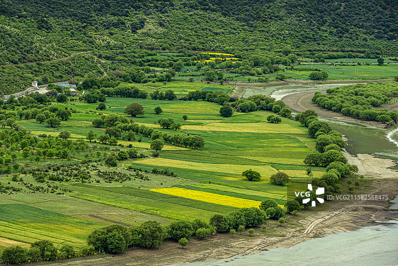 西藏林芝河谷风光图片素材