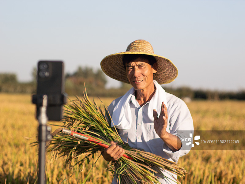 中国农民稻田间直播卖货农产品图片素材