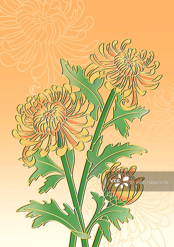 菊花-商业插画节日海报设计扁平风手绘治愈系小清新创意书签冰箱贴底纹图片素材